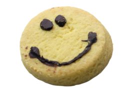 a yummy-looking smiley face cookie